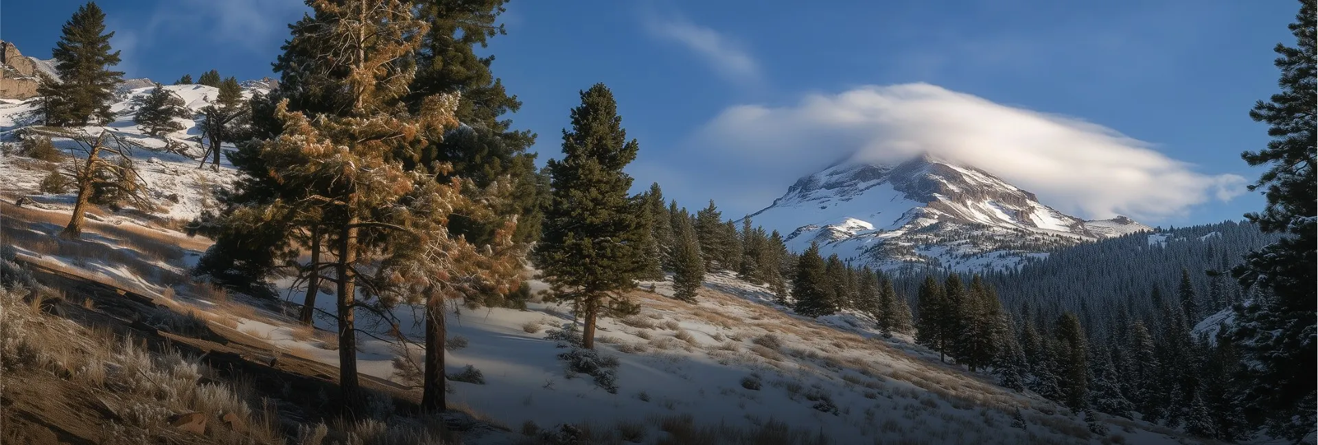 Från arktisk mutation till ett nytt kapitel för Alzheimers sjukdom