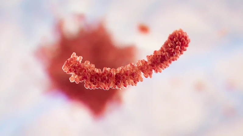 Patologin bakom Alzheimers sjukdom