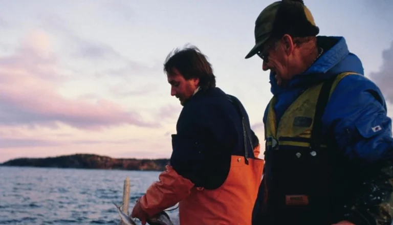 Vilka patienter kategori